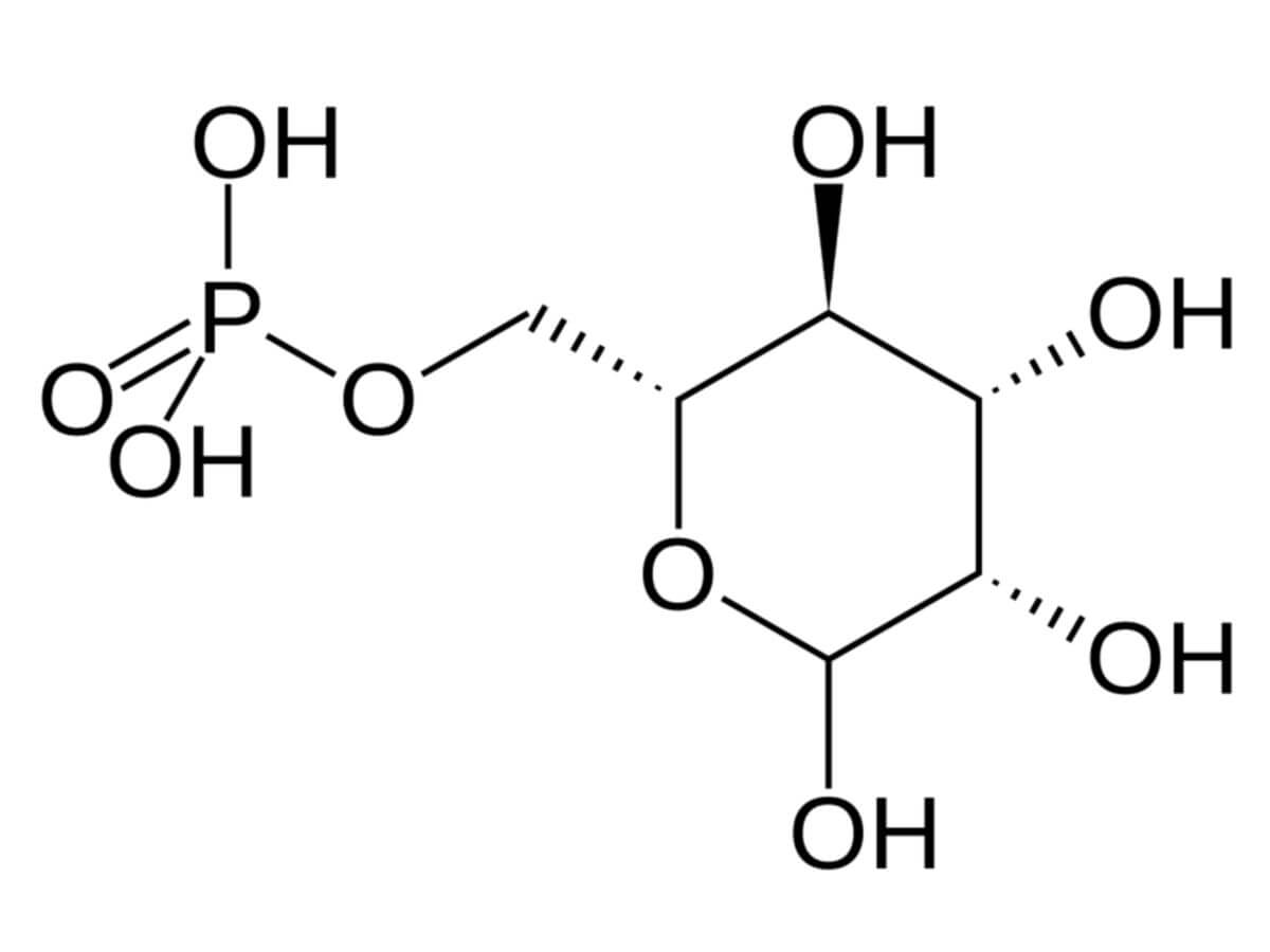 Mannose-6-Phosphat