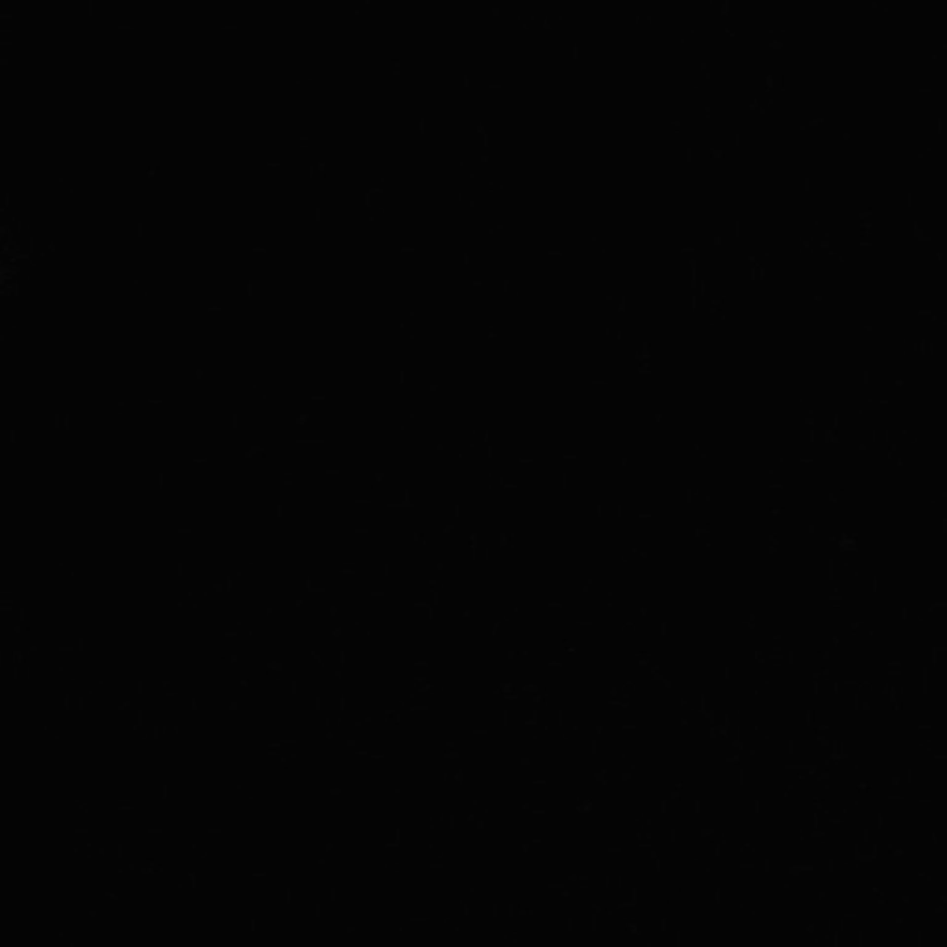 Xenopus laevis (Axon) - CIL:36903