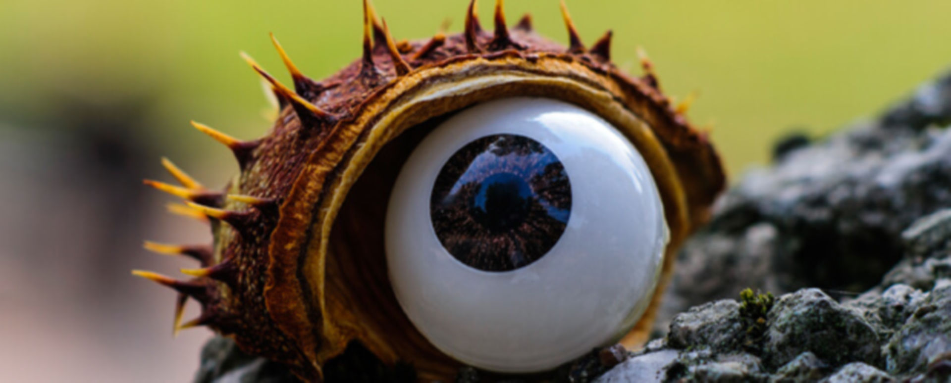 Hirnrinde Blickrichtungsdeutung outgesourct DocCheck