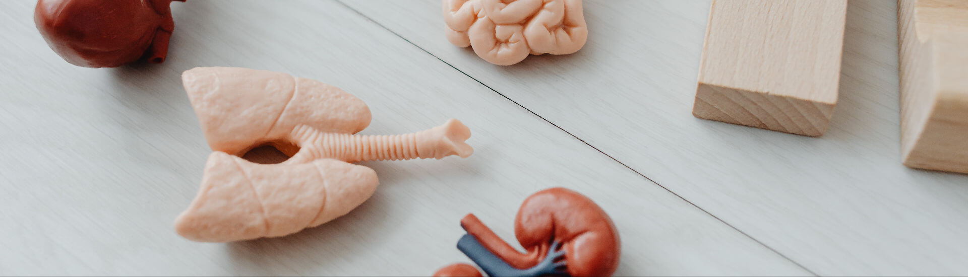 Lunge Teste dein Wissen! DocCheck