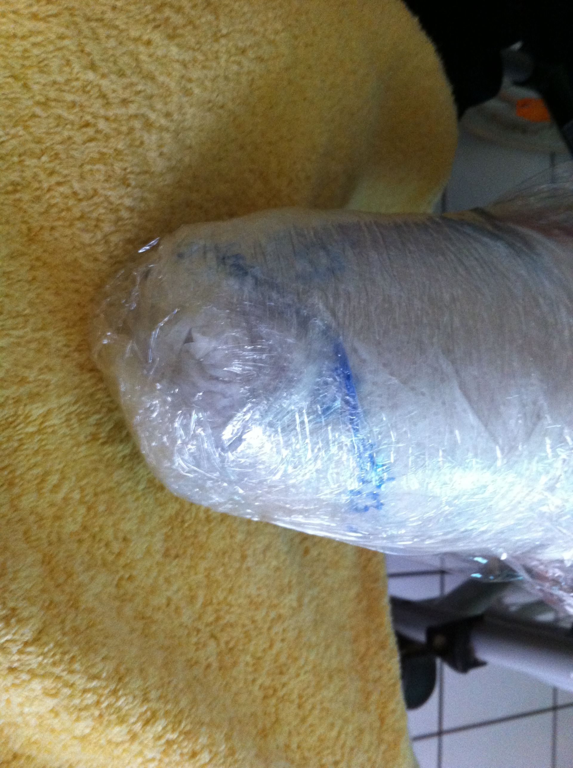Ceppo rivestito di trattamento