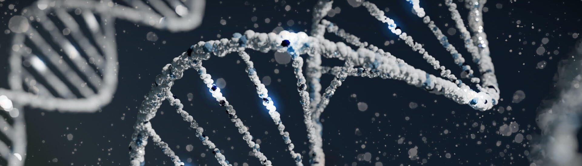 Gene, die das Herz krank machen DocCheck