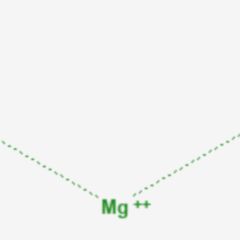 Magnesium DocCheck Flexikon
