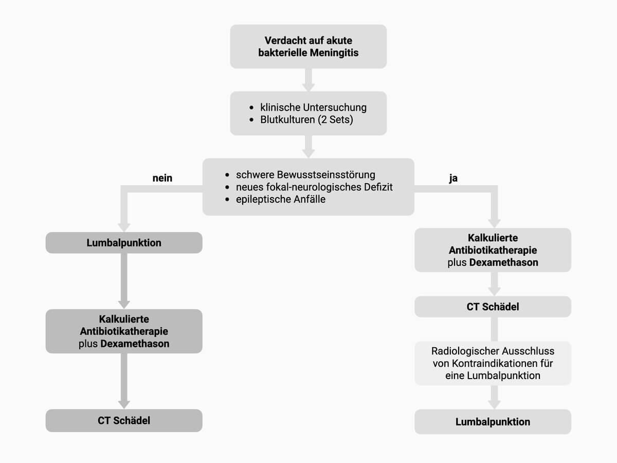 Diagnosealgorithmus bakterielle Meningitis