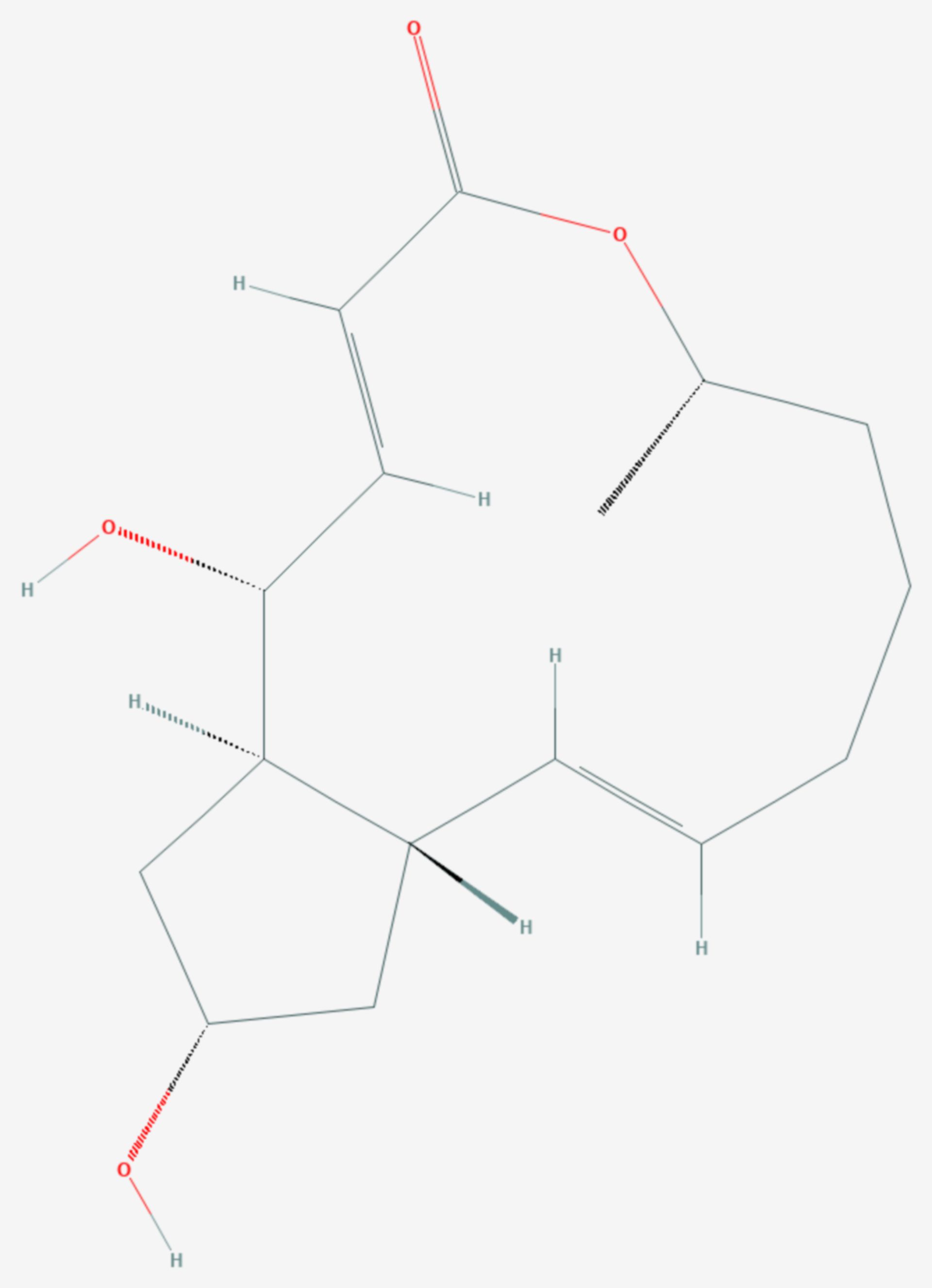 Brefeldin A (Strukturformel)
