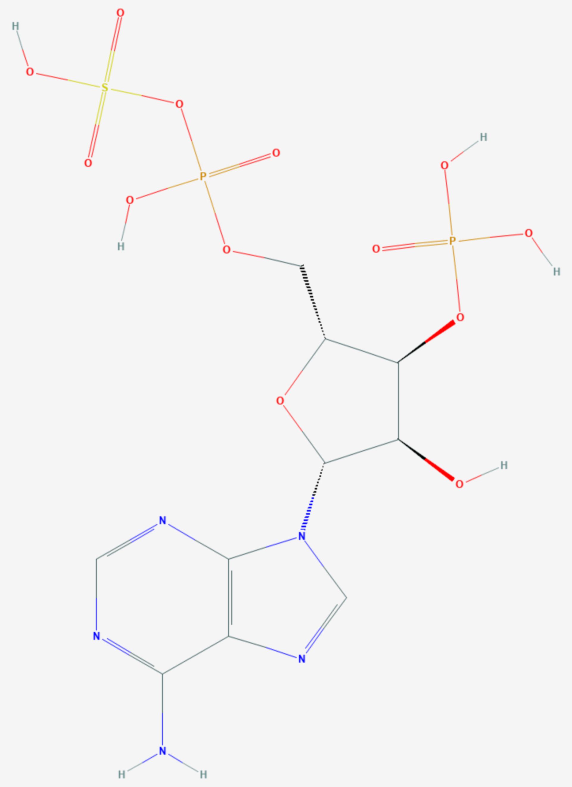 3′-Phosphoadenosin-5′-phosphosulfat (Strukturformel)
