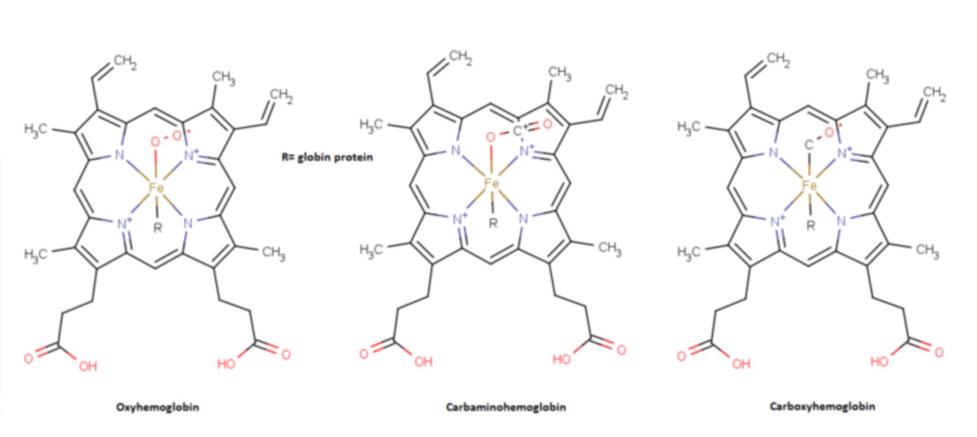 Hemoglobin structures