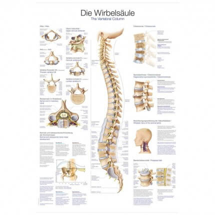 Instructional panel - The spine