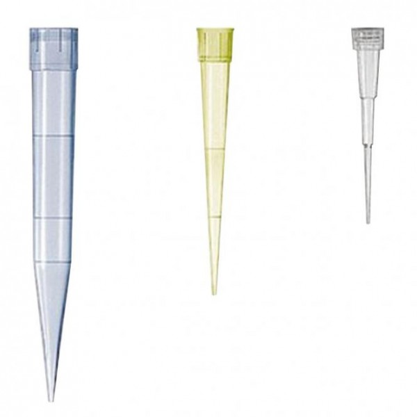 Cônes de pipettes universels Cônes de pipettes universels