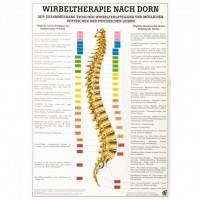 Rüdiger Anatomie Lehrtafel – Wirbeltherapie nach Dorn Rüdiger Anatomie Lehrtafel – Wirbeltherapie nach Dorn