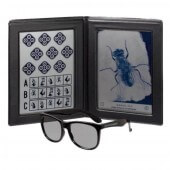 EYESFIRST® Stereo Vision Test House Fly