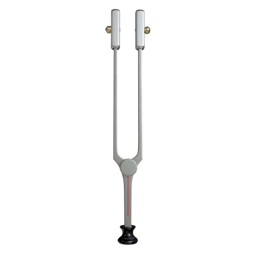 Multifunction tuning fork 