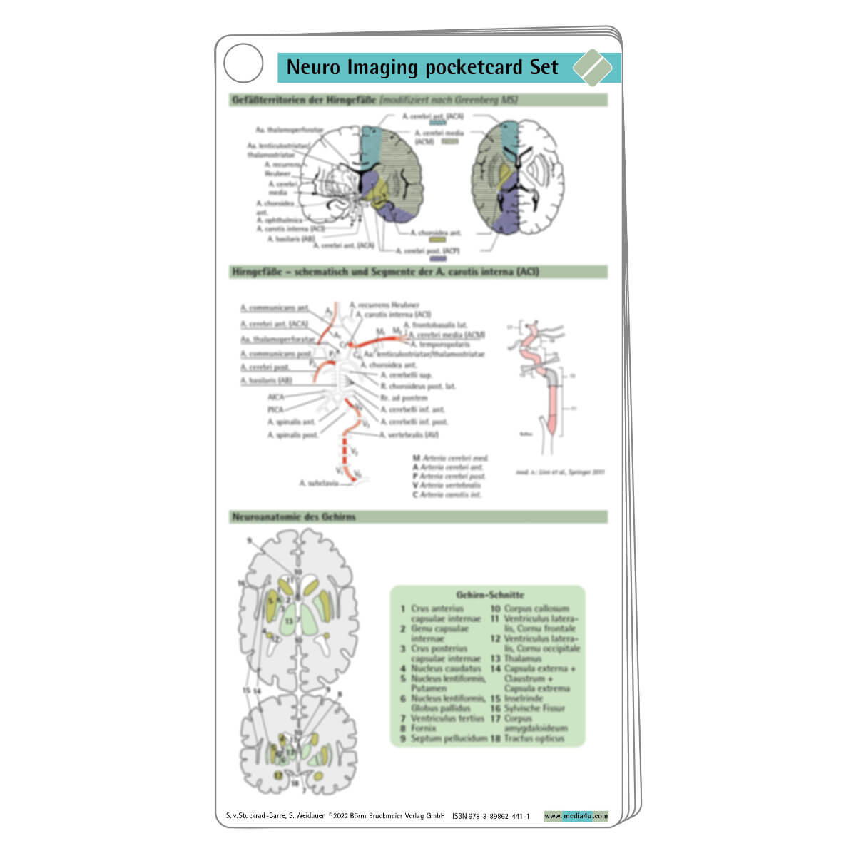 Börm Bruckmeier Neuro Imaging Pocketcard Set Kaufen | DocCheck Shop