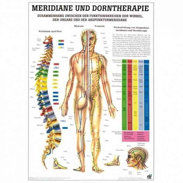 Lehrtafel - Meridiane und Dorntherapie Lehrtafel - Meridiane und Dorntherapie