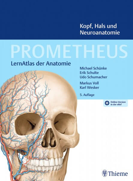 PROMETHEUS Kopf, Hals und Neuroanatomie PROMETHEUS Kopf, Hals und Neuroanatomie