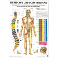 Rüdiger Anatomie Lehrtafel – Meridiane und Dorntherapie Rüdiger Anatomie Lehrtafel – Meridiane und Dorntherapie