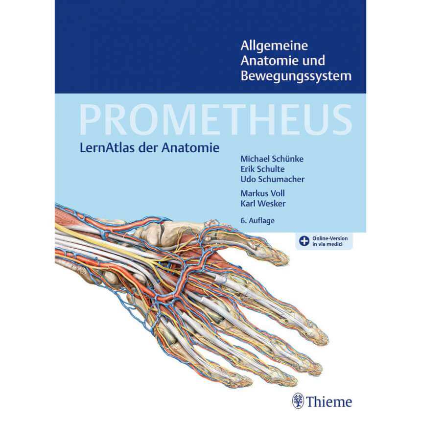 Thieme PROMETHEUS Allgemeine Anatomie Und Bewegungssystem Kaufen ...