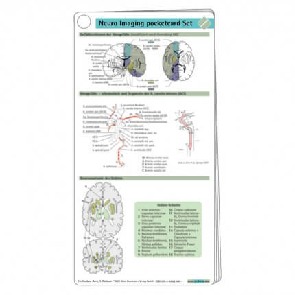 Neuro Imaging pocketcard Set
