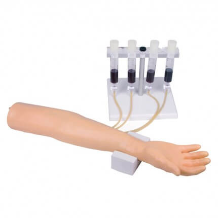 Training arm for intravenous injection and infusion