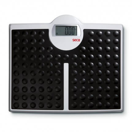 813 personal scale