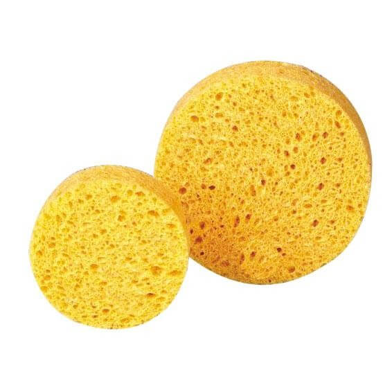 Schwämme Schwämme