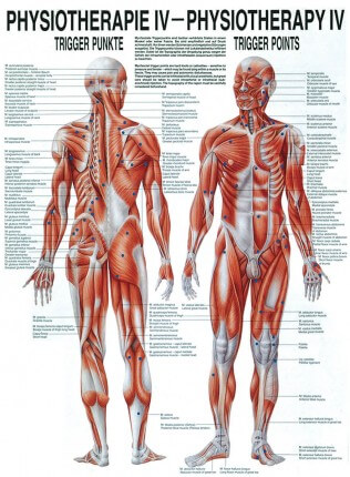 Tutorial board - Trigger points