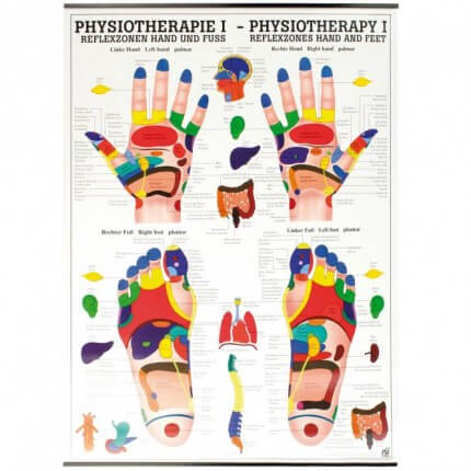 Instructional panel - reflex zones hand and foot