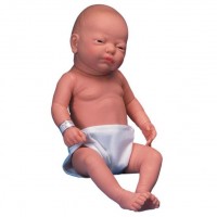 3B Scientific Pflegebaby 3B Scientific Pflegebaby