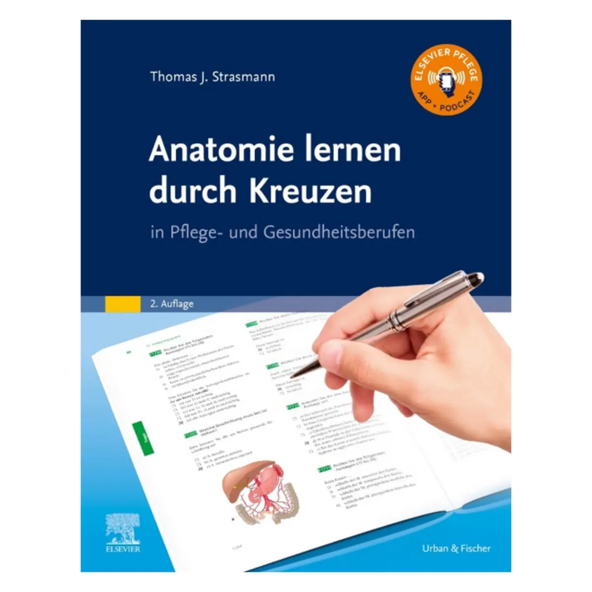  Anatomie lernen durch Kreuzen