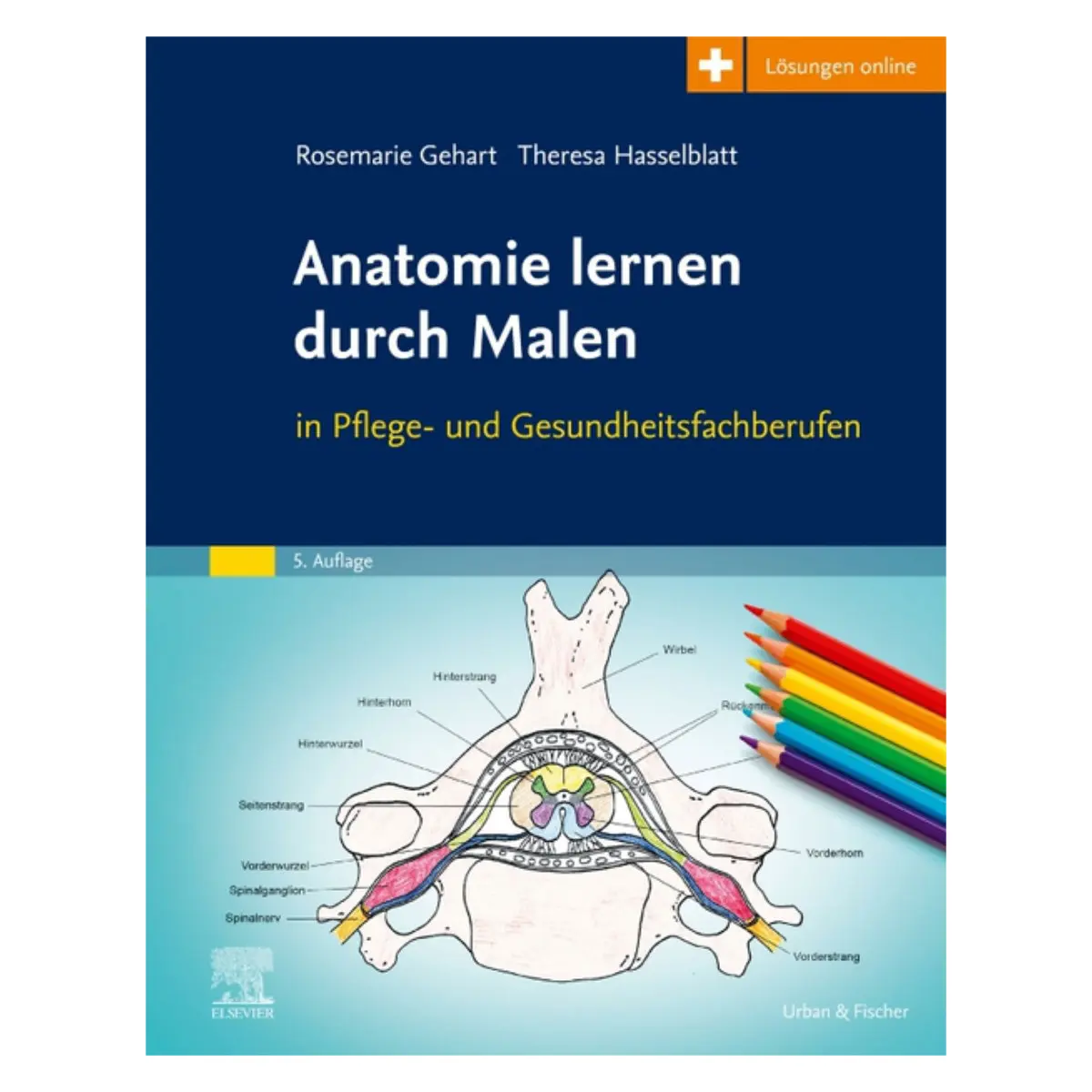  Anatomie lernen durch Malen